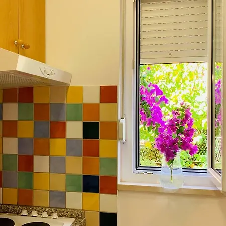 Apartman Ivica *